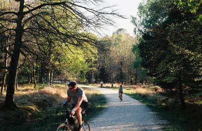 Cycling in the New Forest during winter - Cycling Feature