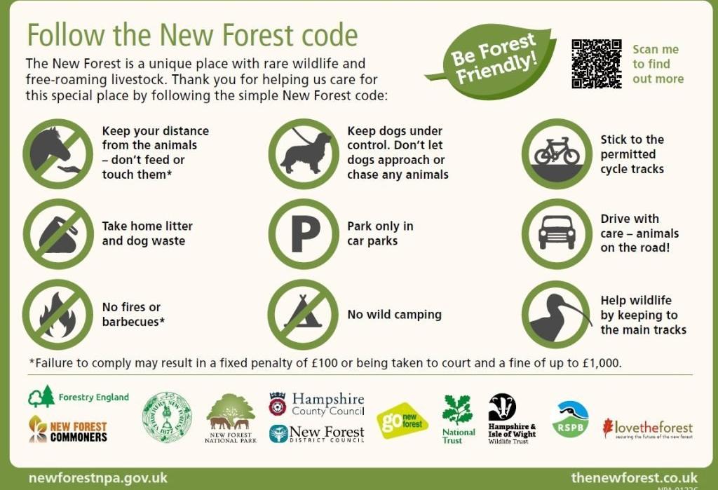 Follow the New Forest Code