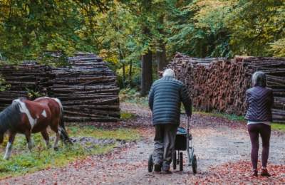 accessible walks collection