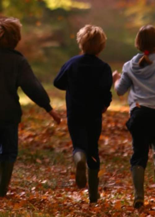 Children running through the autumn leaves in the New Forest