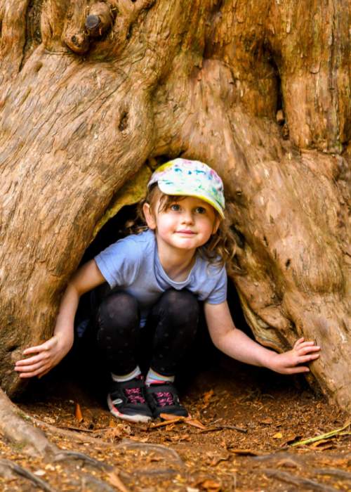 Girl in hollow tree at Exbury Gardens in the New Forest