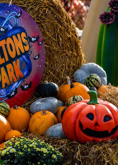 Halloween decorations at Paultons Park in the New Forest