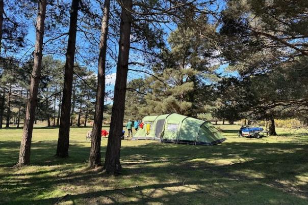 Camping New Forest Photo - Blog June 2023