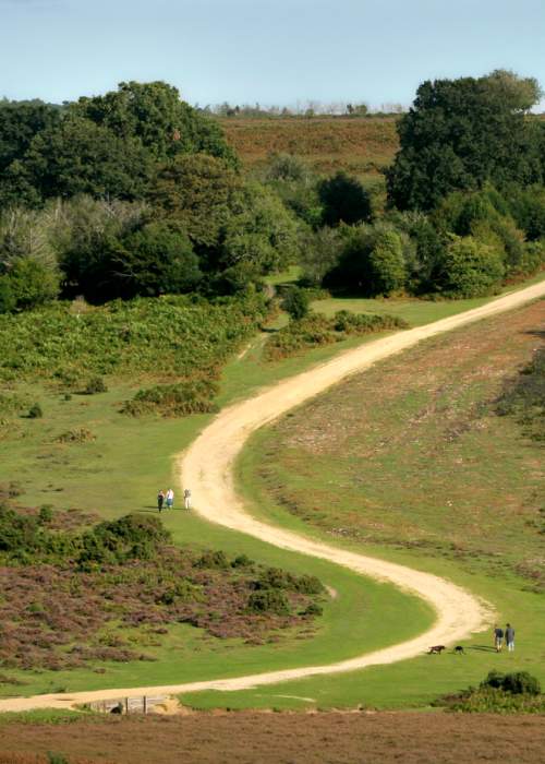 Long uphill path at Ashley Walk in the New Forest