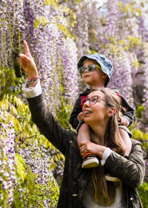 Mother and son looking at wisteria at Exbury Gardens in the New Forest