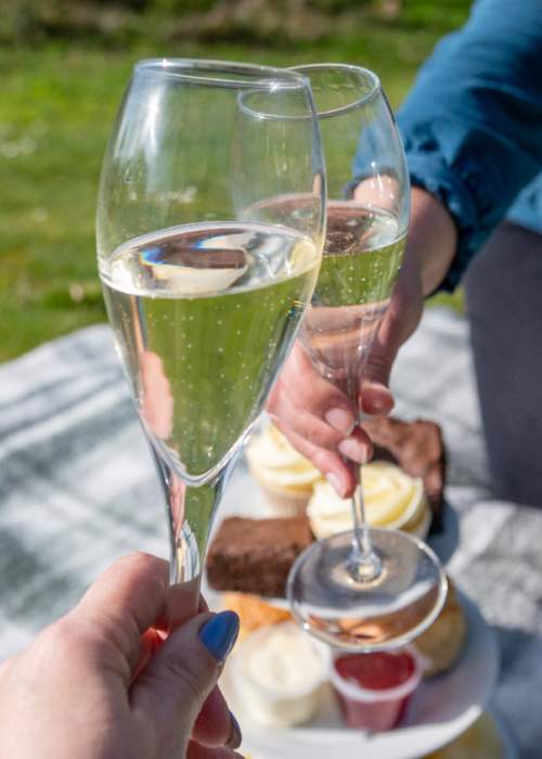 Picnic with a glass of fizz in the New Forest