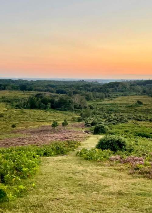 Sunset in the summer at Burley in the New Forest