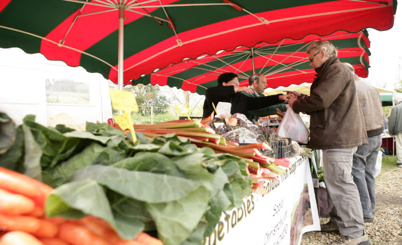 Where to buy local produce collection
